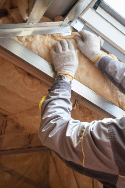 Trusted Arlington, MN Insulation Contractor Experts