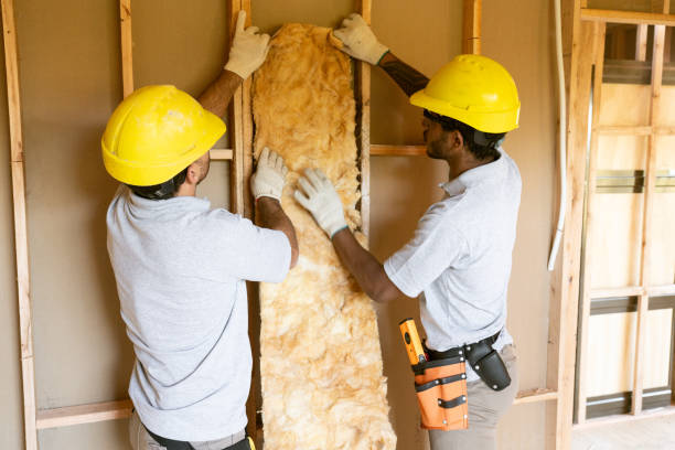 Best Crawl Space Insulation  in Arlington, MN