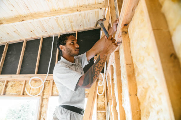 Best Insulation Contractor Near Me  in Arlington, MN