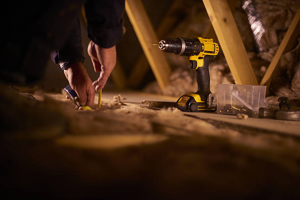 Best Insulation Inspection Services  in Arlington, MN
